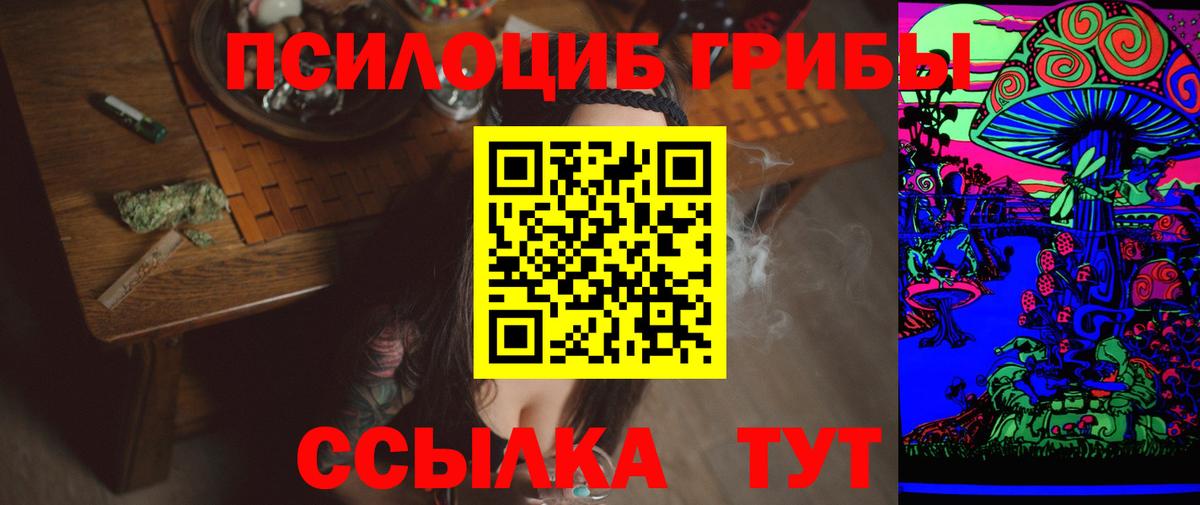 Новодвинск  Псилоцибиновые грибы прущие грибы  Псилоцибиновые грибы мухоморы  наркота  Вход с VPN 