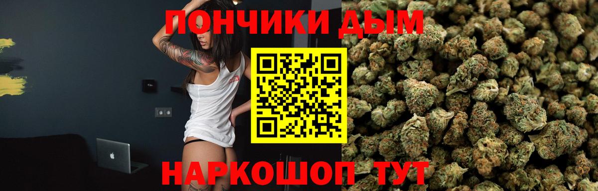 Марихуана конопля  Каннабис Bruce Banner  Новодвинск  Вход с VPN  МАРИХУАНА ГИДРОПОН 