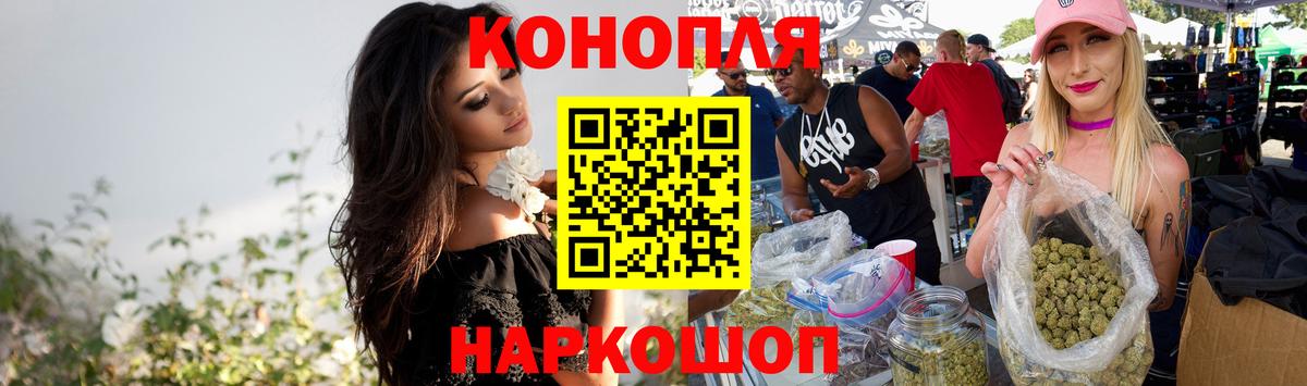 Канабис семена Новодвинск